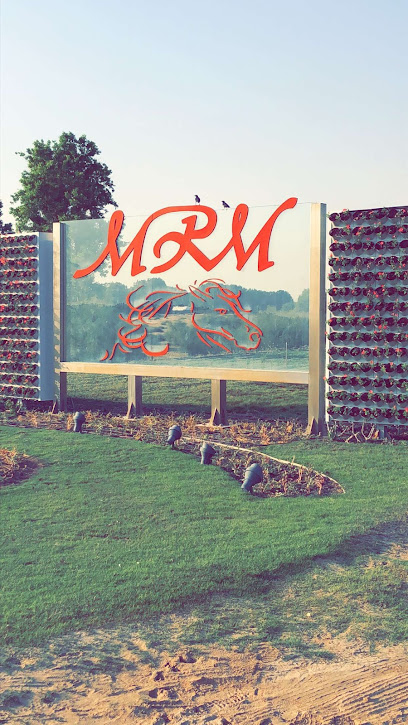 MRM Stables - United Arab Emirates|Al Wathba - Al-Wathba South - Abu Dhabi|5MGQ+QF5