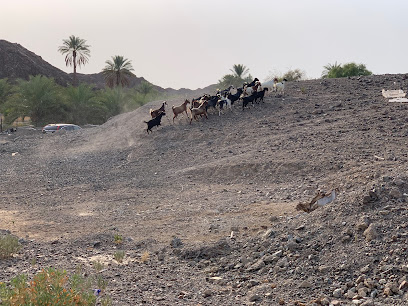 WAAR DAM - Sharjah -