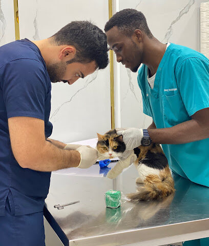 Liberty veterinary clinic Al Jaddaf - Umm Al Quawain - +971 52 475 8857