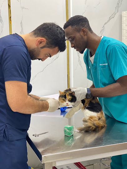 Liberty veterinary clinic Al Jaddaf - United Arab Emirates|Al Jaddaf - Dubai|street