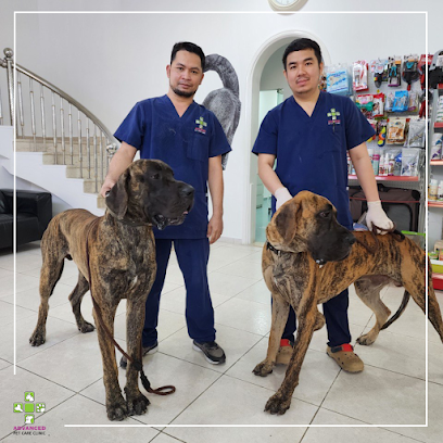 Advanced Pet Care Clinic - Umm Al Quawain - +971 4 321 2535