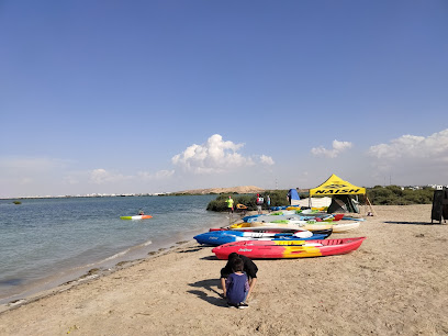 Mangrove Beach, UAQ - Sharjah -
