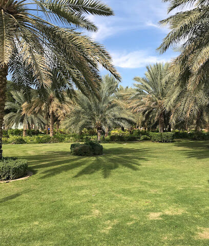 Al Ain Oasis - Sharjah - +971 3 711 8251