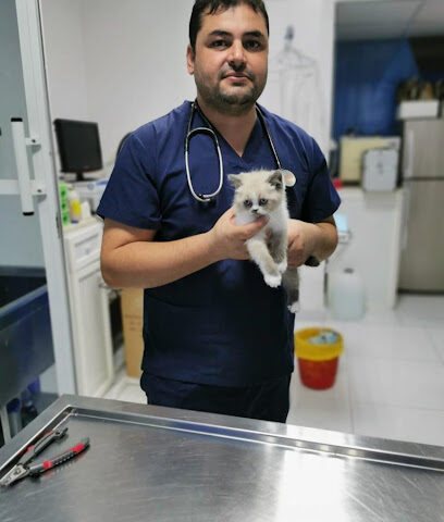 Union Gulf Veterinary Clinic - Umm Al Quawain - +971 2 585 3365