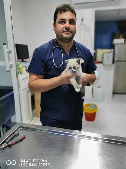 Union Gulf Veterinary Clinic - United Arab Emirates|Al Wathba - Al-Wathba South - Abu Dhabi|12th St