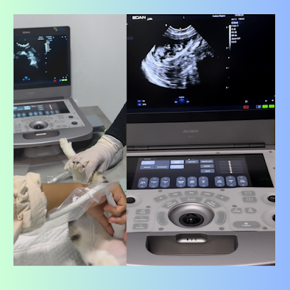 Sky Veterinary Clinic - Umm Al Quawain - +971 56 216 2122