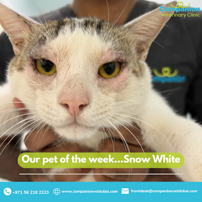 Companion Veterinary Clinic - Umm Al Quawain - +971 56 218 2223