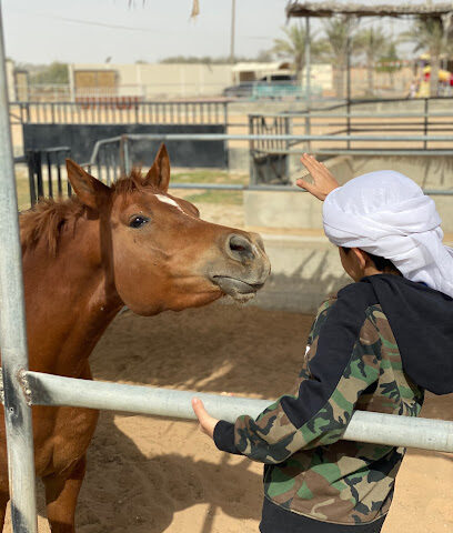 Alsameeh Farm and Stud مزرعة ومربط السميح - Sharjah - +971 50 950 3313