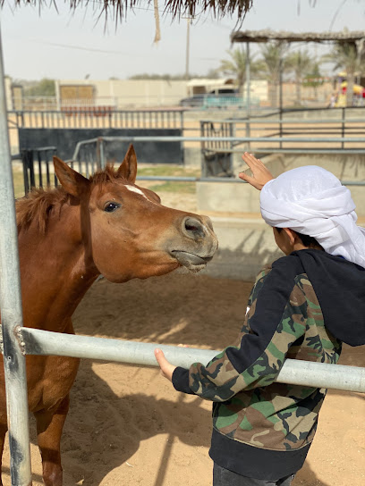 Alsameeh Farm and Stud مزرعة ومربط السميح - United Arab Emirates|Abu Dhabi|Unnamed Road|MPJW+QFX
