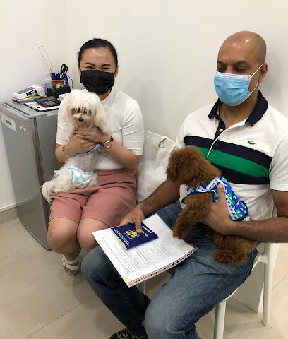 Majestic Veterinary Clinic - Umm Al Quawain - +971 56 326 0726