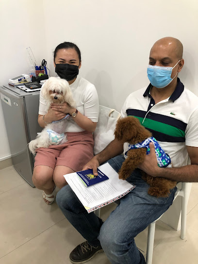 Majestic Veterinary Clinic - United Arab Emirates|Oud Metha - Dubai|18th St
