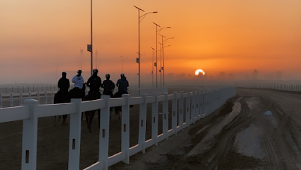 AlRumaithi Endurance Stable - Sharjah - +971 50 653 1955