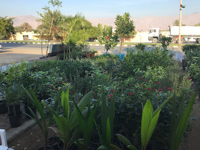 Arboretum North Shore - Umm Al Quawain - +971 56 187 8256