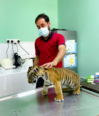 Al Jubail Veterinary Clinic - Umm Al Quawain - +971 56 434 7946