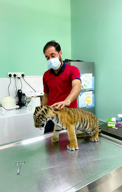 Al Jubail Veterinary Clinic - United Arab Emirates|Al Mareija - Sharjah|Meena Road