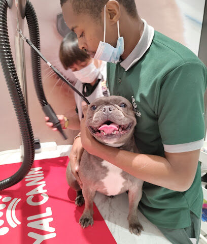 The Hills Veterinary Clinic - Umm Al Quawain - +971 4 330 8808