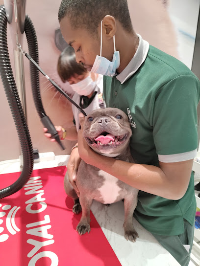 The Hills Veterinary Clinic - United Arab Emirates|Dubai|Parkpoint Building B|Dubai Hills Estate