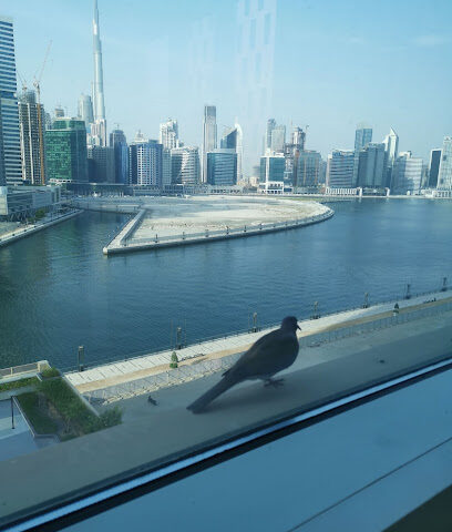 Adrenaline Travel - Sharjah - +971 4 234 6850