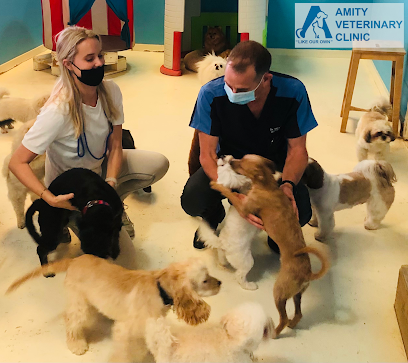 Amity Veterinary Clinic - Umm Al Quawain - +971 4 344 0856