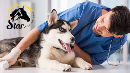Star Veterinary Clinic - Umm Al Quawain - +971 4 327 4921