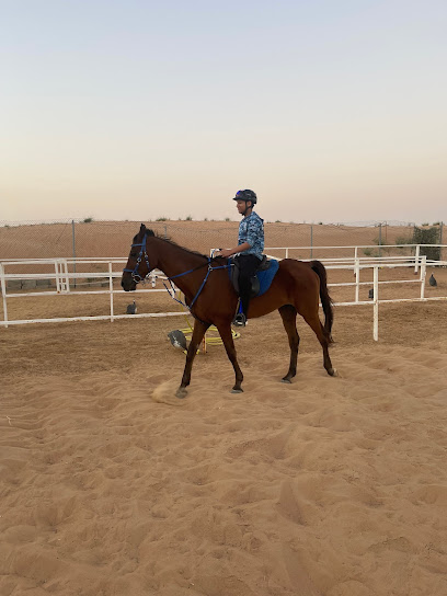 اسطبلات الوالي للفروسية - ALWALI STABLES - United Arab Emirates|Sharjah|Unnamed Road