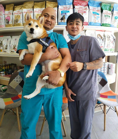 The City Vet Clinic - Meydan Branch - Umm Al Quawain - +971 800 3990