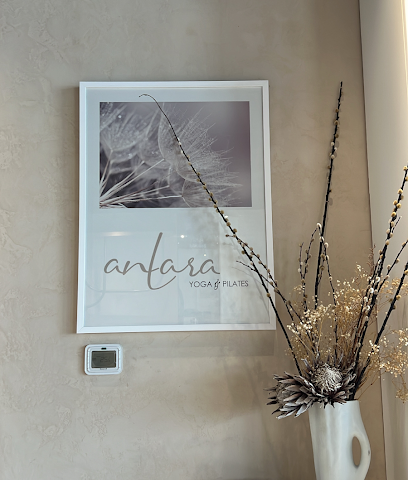 Antara Yoga & Pilates - أبو ظبي - +971 52 790 4233
