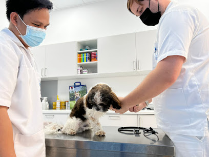 Blue Oasis Veterinary Clinic D2 Branch - Umm Al Quawain - +971 4 330 8557