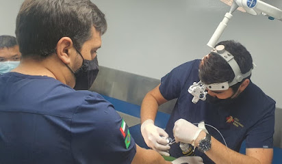 Elite Veterinary Clinic - Umm Al Quawain - +971 3 733 3473