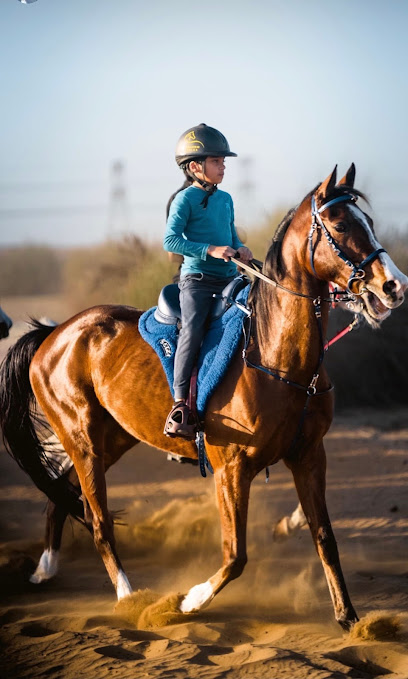 V12 Pvt Stable - United Arab Emirates|Dubai|5GHW+92R