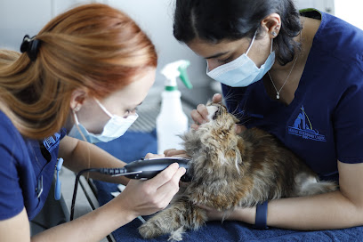 Modern Vet JVC - Umm Al Quawain - +971 800 82
