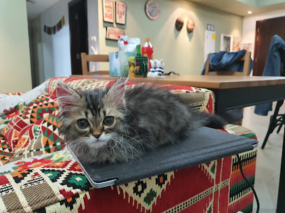 Pet Lovers Veterinary Clinic - Umm Al Quawain - +971 4 447 2289
