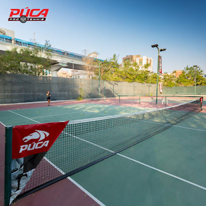 TopSpin Tennis - Sharjah - +971 50 746 4583
