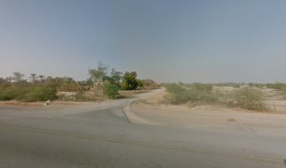 Julphar Stud مربط جلفار - Sharjah -