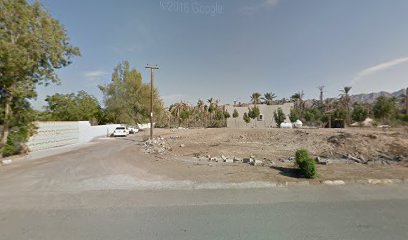 Al safa plants nursery - Umm Al Quawain - +971 50 590 3840