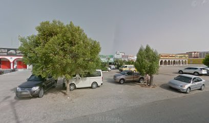 Al Khadra Gardens - Umm Al Quawain -