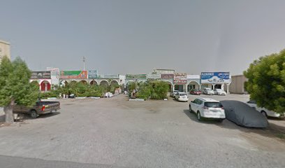Al Rawada Plants Nursery - Umm Al Quawain -