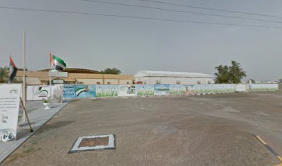 مدرسة الوادي للتعليم الأساسي - Sharjah -