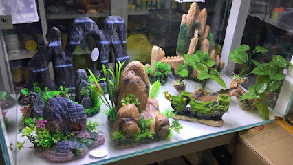 Al Ameera Corner Aquarium Fish - Abu Dhabi - +971 50 566 6361