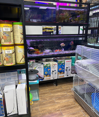 Aquarium world - Abu Dhabi - +971 52 288 0717