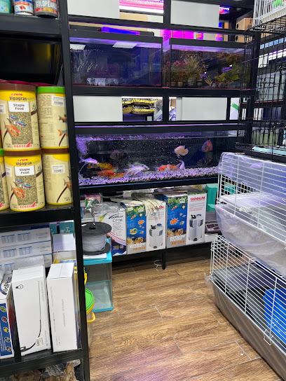 Aquarium world - United Arab Emirates|Al Shamkhah - Abu Dhabi