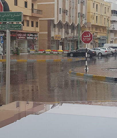 Al Dhaheri General Service Office - Abu Dhabi - +971 3 764 1270