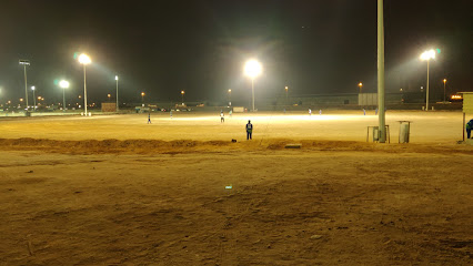 Mirza Cricket Leagues - Abu Dhabi - +971 55 676 4328
