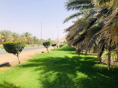Al Mubazzarah Park - Abu Dhabi - +971 3 712 8000