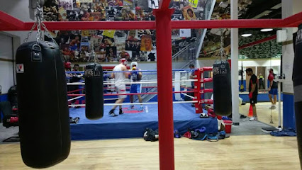 Round 10 Boxing Club - Boxing Gym Dubai - Abu Dhabi - +971 4 338 0101