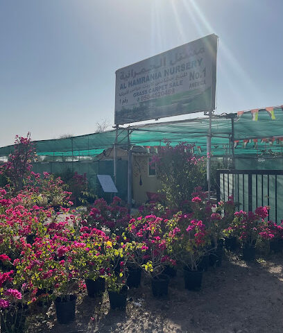 Hamrani Plant Nursery - Abu Dhabi -