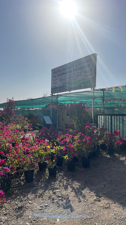 Hamrani Plant Nursery - United Arab Emirates|Muwailha - Ras al Khaimah|Road|Al Manama
