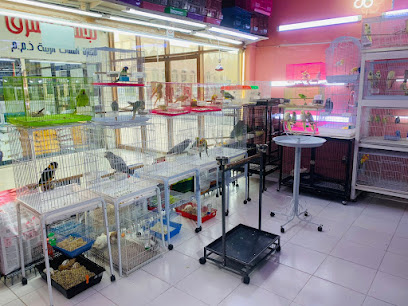 AL mina birds and animals market - Abu Dhabi - +971 55 301 0861