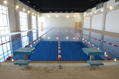 Technical Line Projects - Abu Dhabi - +971 50 667 0850