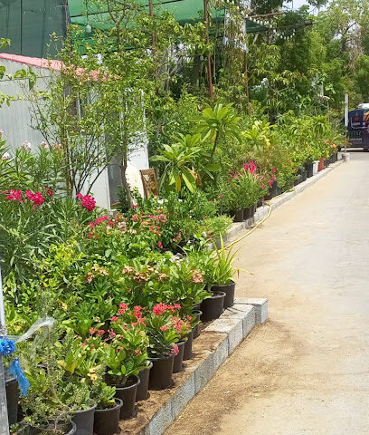 BARAEM AL WADE FLOWERS براعم الوادي للزهور -  - +971 50 881 5482